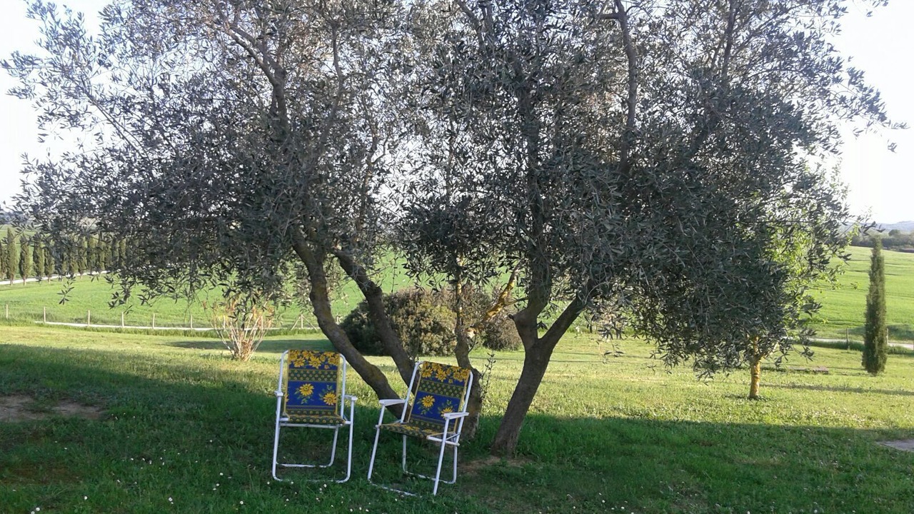 Photo of Outdoor in Asciano