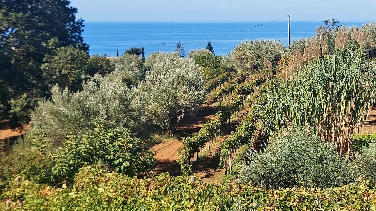 Photo of Outdoor in San Lucido