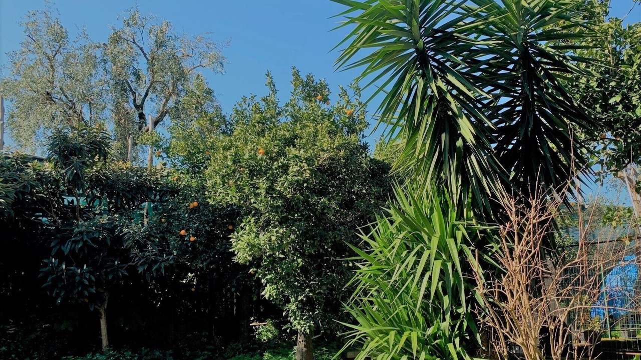 Photo of Outdoor in Piano di Sorrento