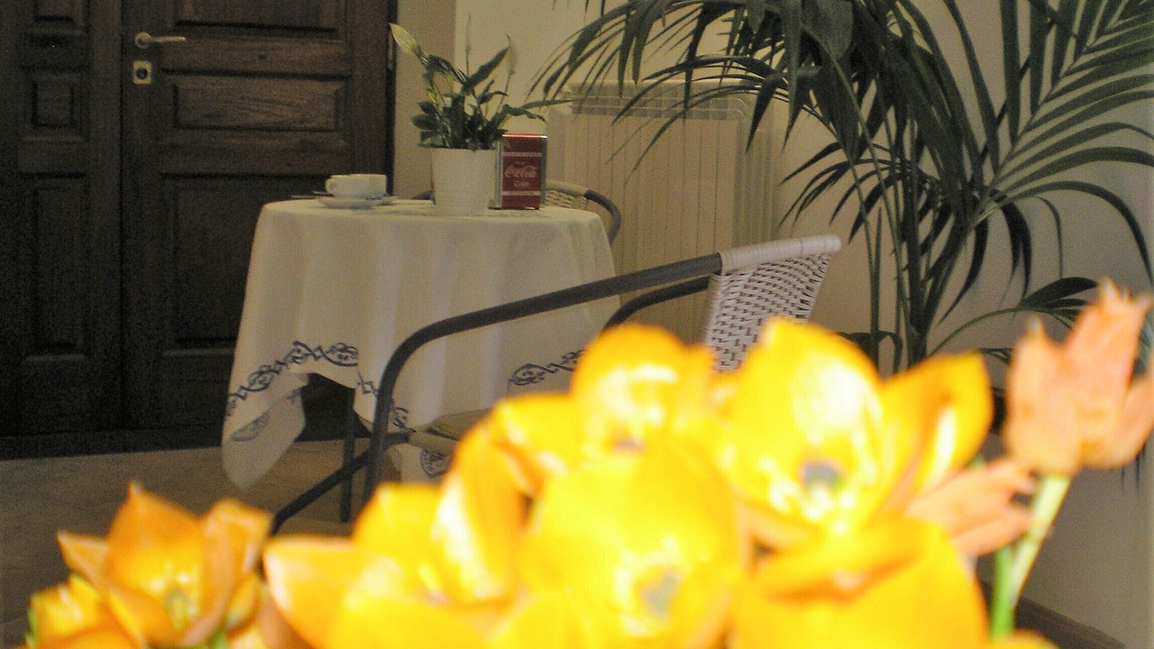 Photo of Others in Piano di Sorrento