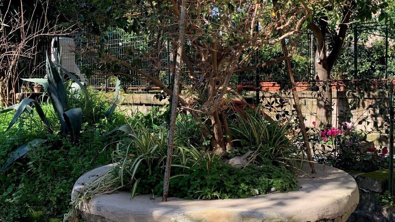 Photo of Outdoor in Piano di Sorrento