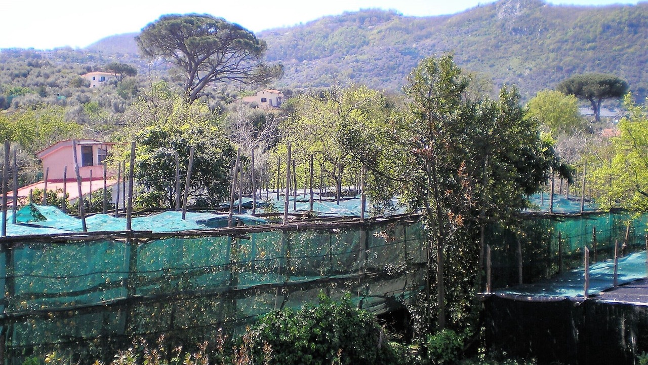 Photo of Outdoor in Piano di Sorrento