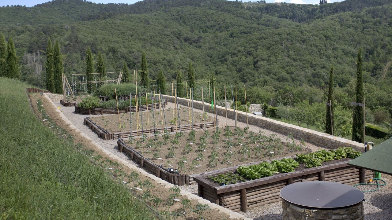 Photo of Outdoor in Gaiole in Chianti