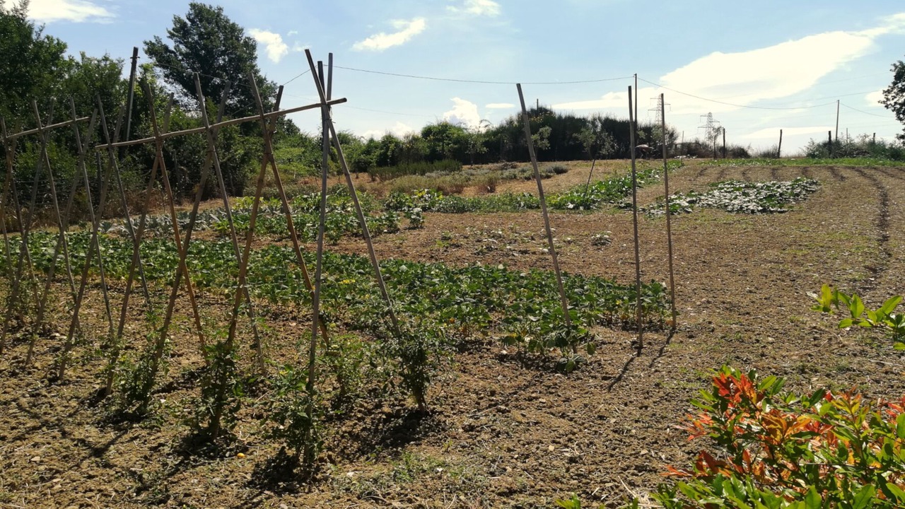 Photo of Others in Pergine Valdarno