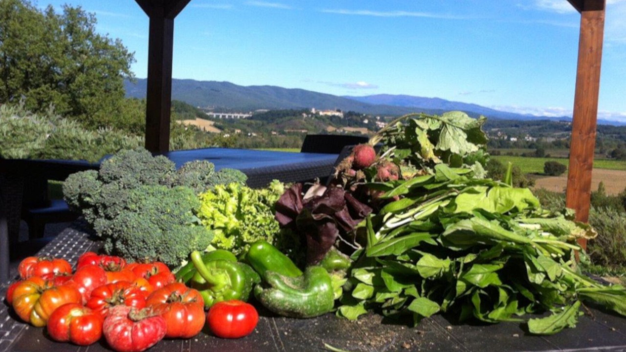 Photo of Outdoor in Pergine Valdarno