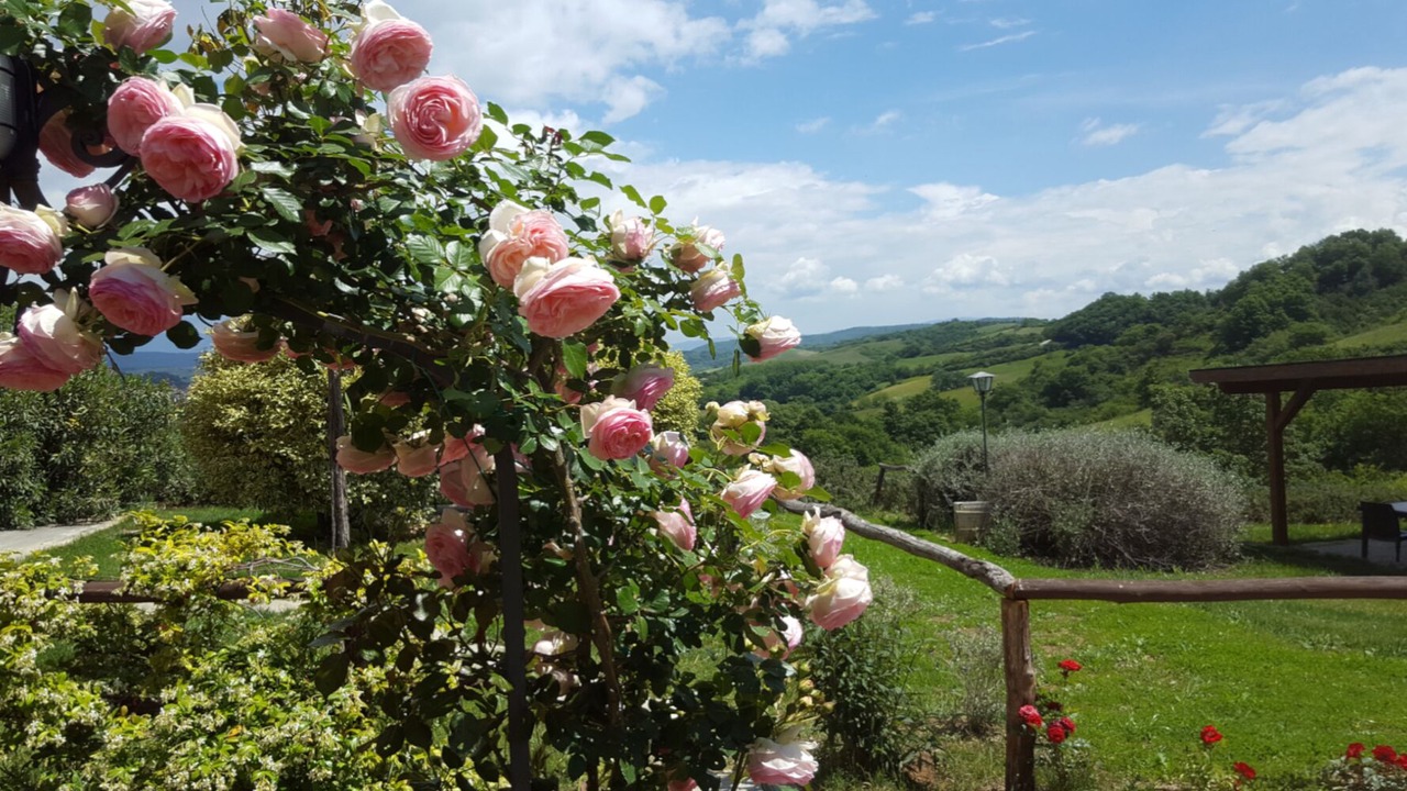 Photo of Outdoor in Pergine Valdarno