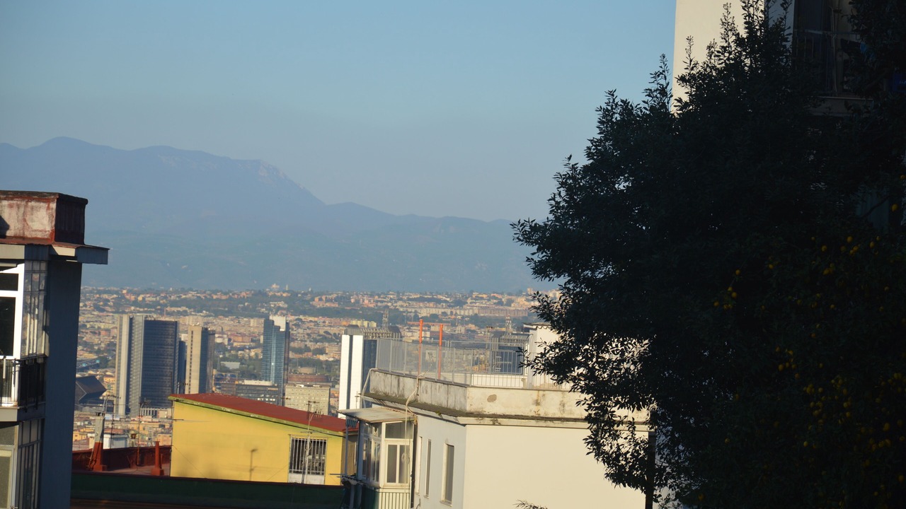 Photo of Others in Arenella
