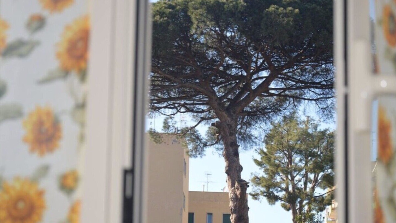 Photo of Others in Arenella