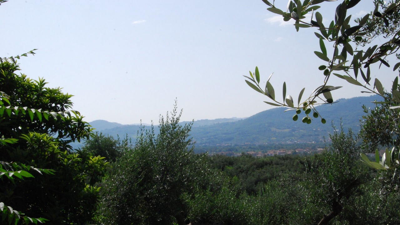 Photo of Outdoor in Piane d'Archi-Quadroni