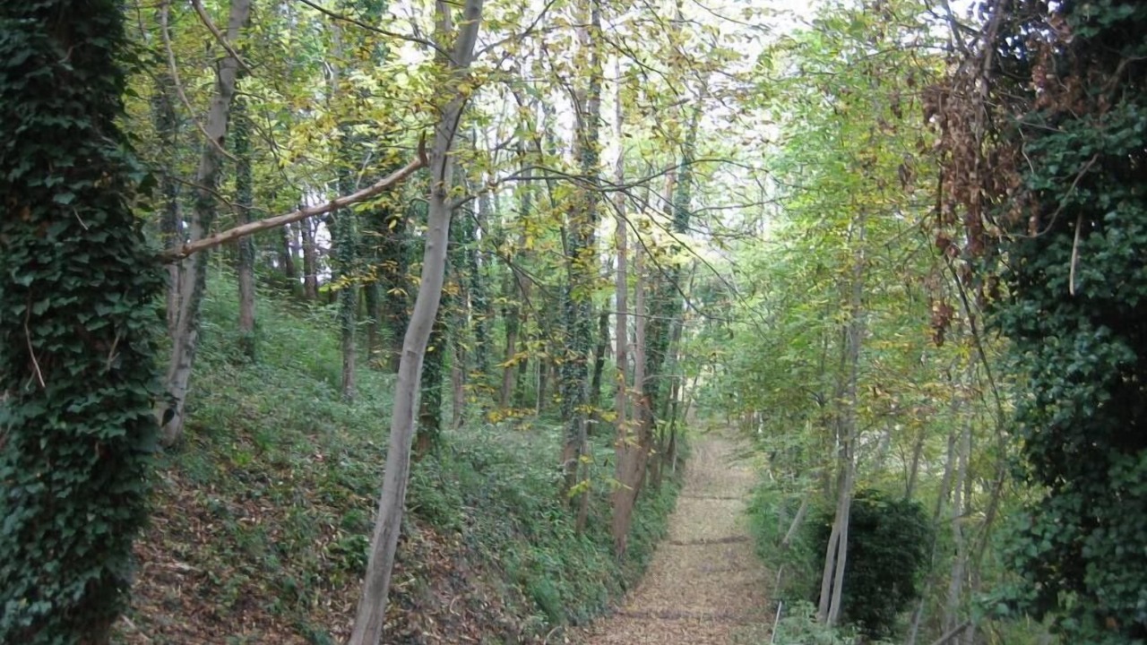 Photo of Outdoor in Civitella di Romagna
