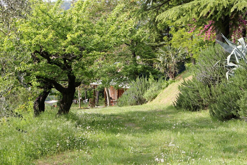 Photo of Outdoor in Civitella di Romagna