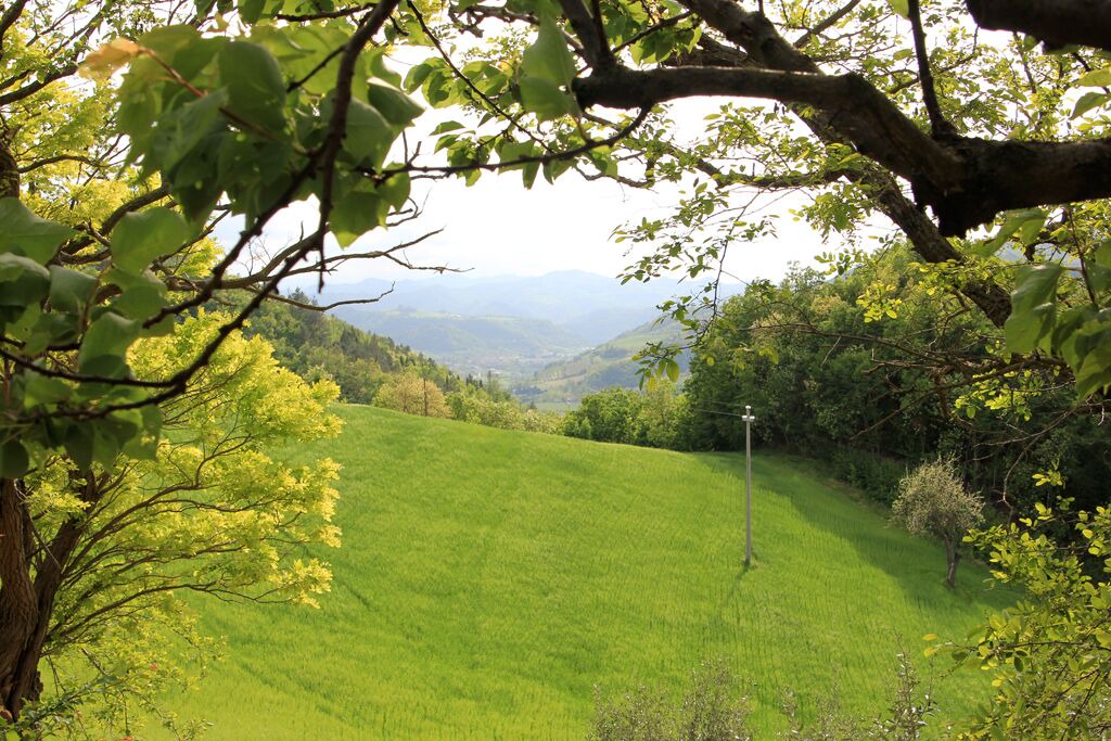 Photo of Outdoor in Civitella di Romagna