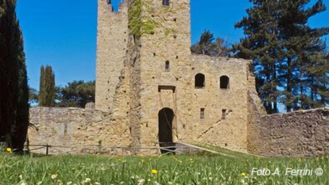 Photo of Others in Moggiana