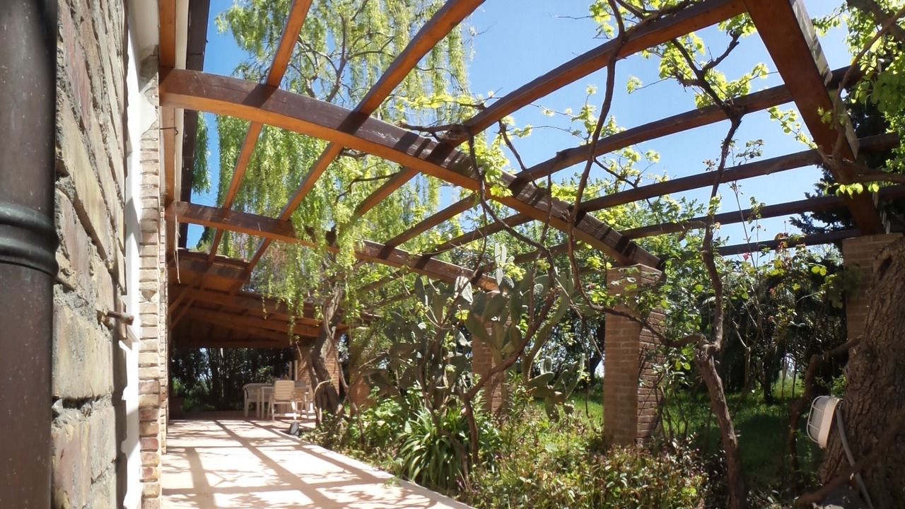 Photo of Patio Balcony in Nuova Cliternia