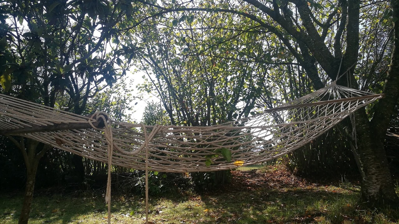 Photo of Outdoor in Nuova Cliternia