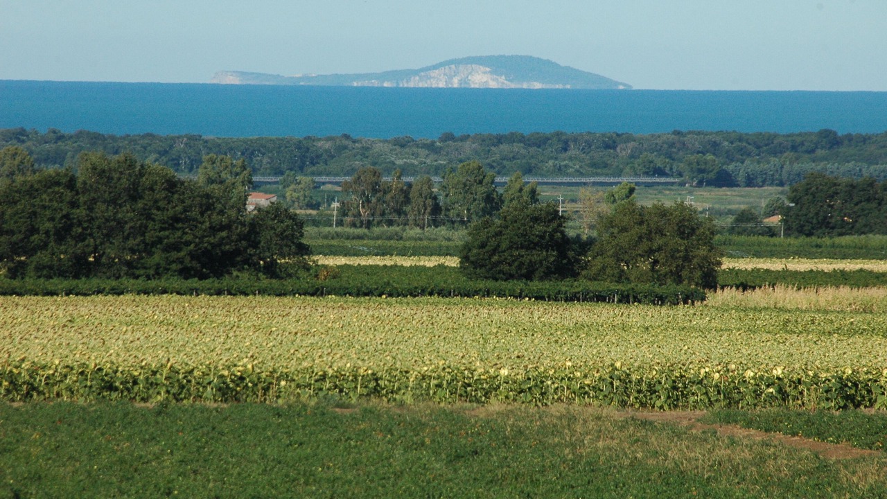 Photo of Outdoor in Nuova Cliternia