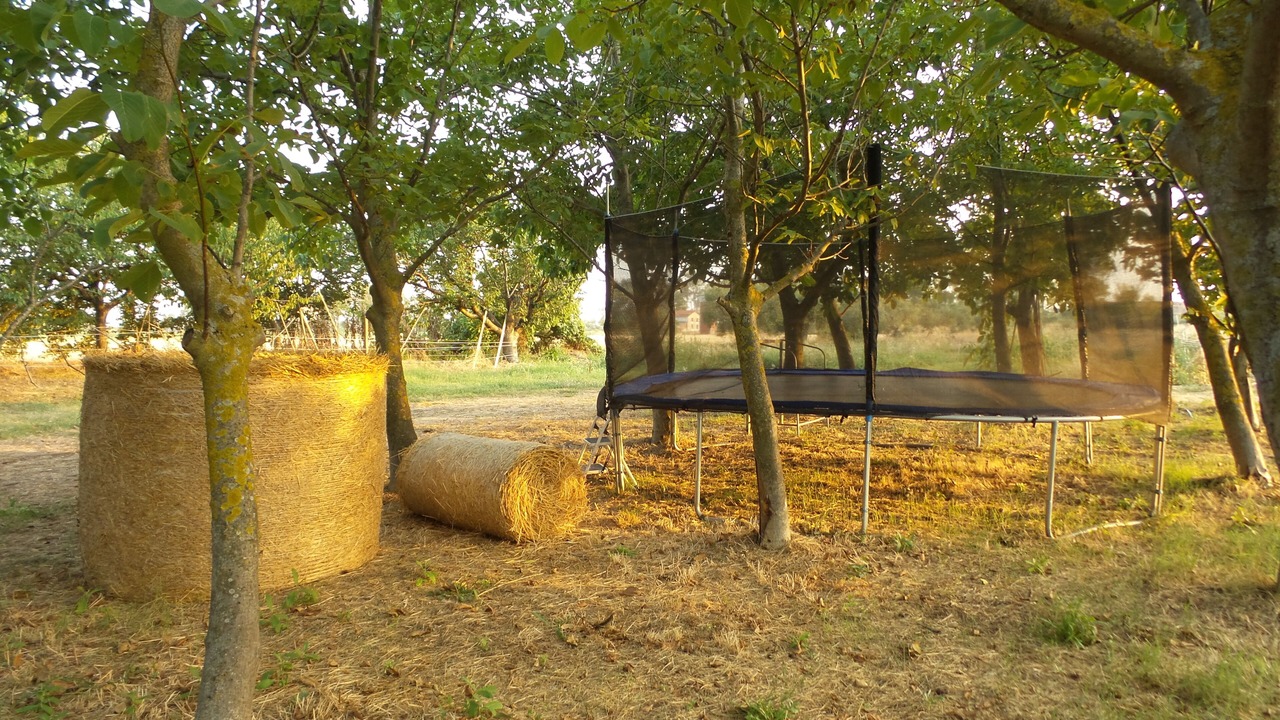 Photo of Outdoor in Nuova Cliternia