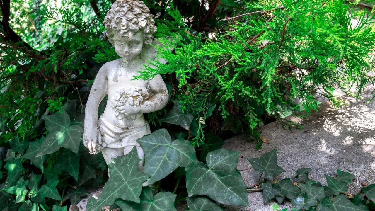 Photo of Outdoor in Bocale
