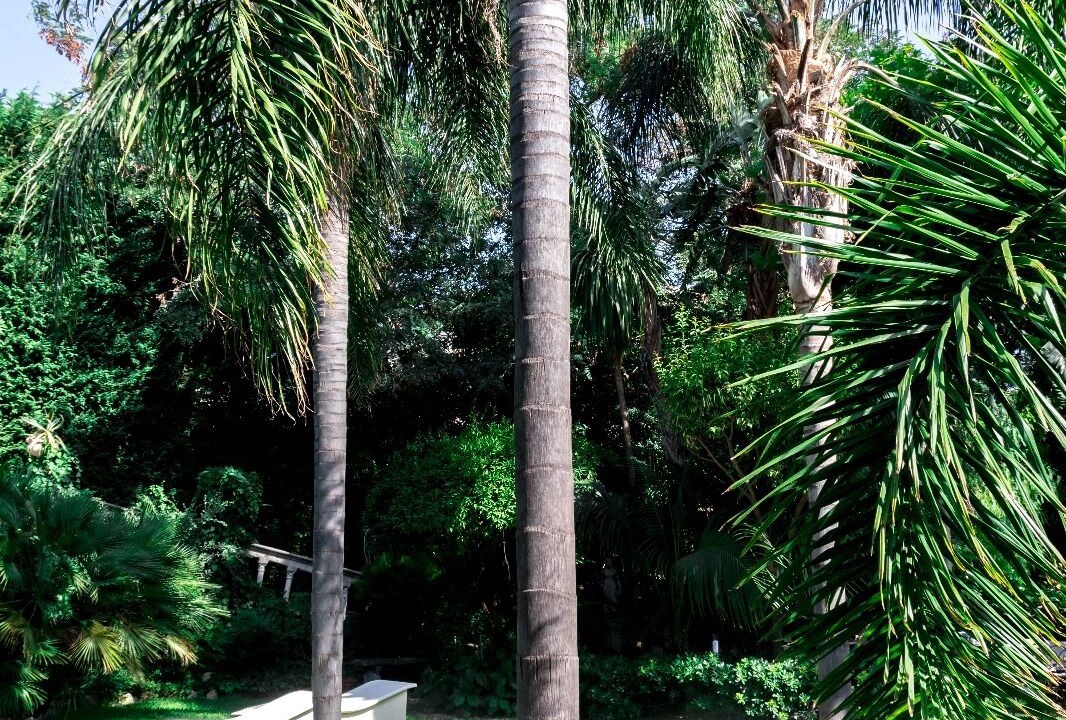 Photo of Outdoor in Bocale