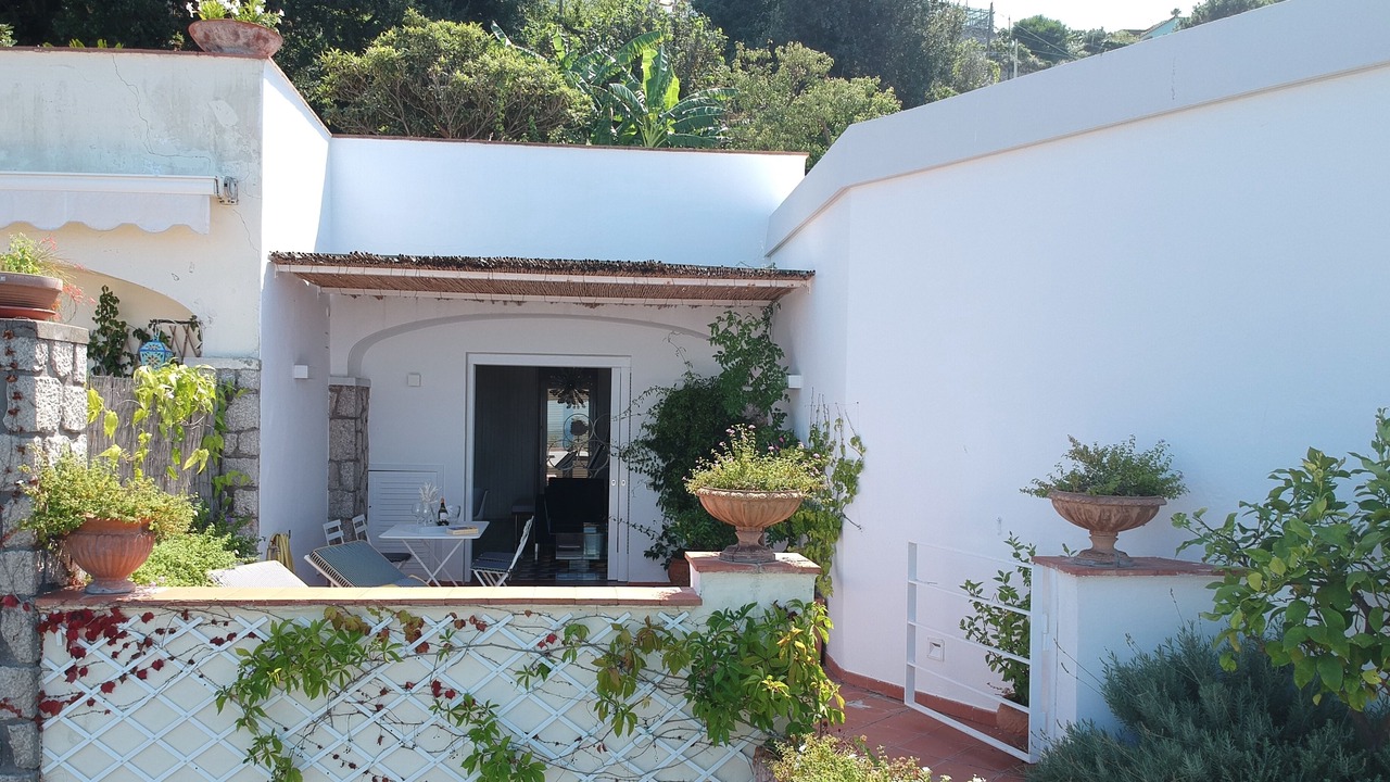 Photo of Outdoor in Licola