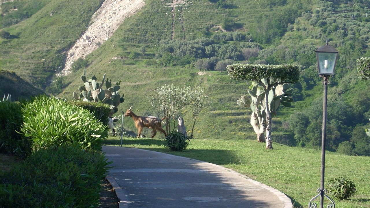 Photo of Outdoor in Parghelia
