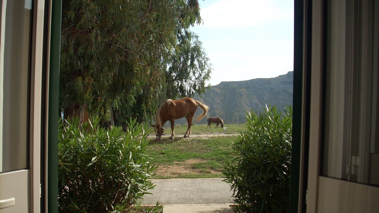 Photo of Others in Parghelia