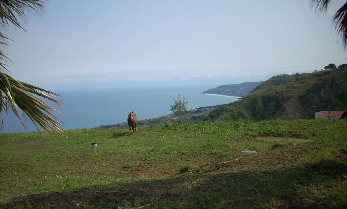 Photo of Outdoor in Parghelia