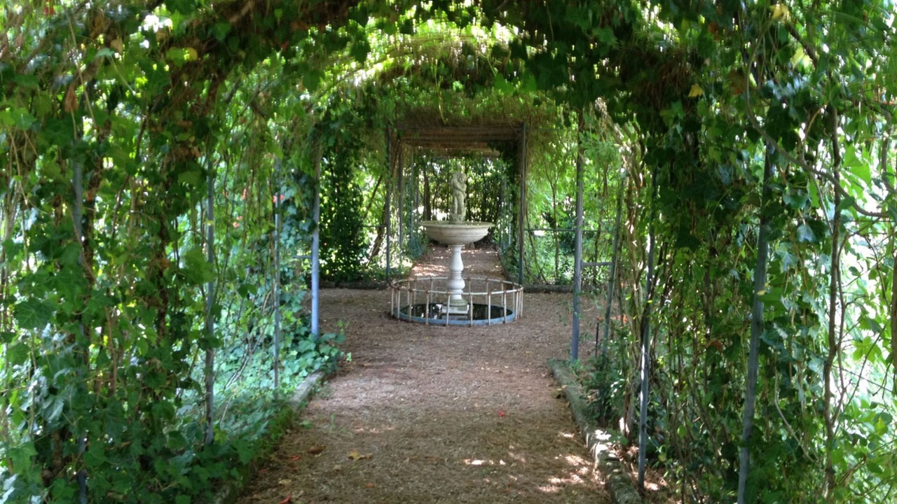 Photo of Outdoor in Tregozzano