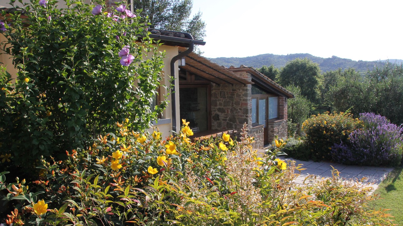 Photo of Outdoor in Monte San Savino