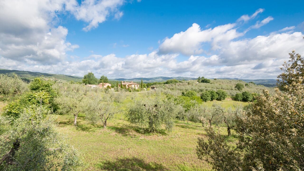 Photo of Others in Monte San Savino