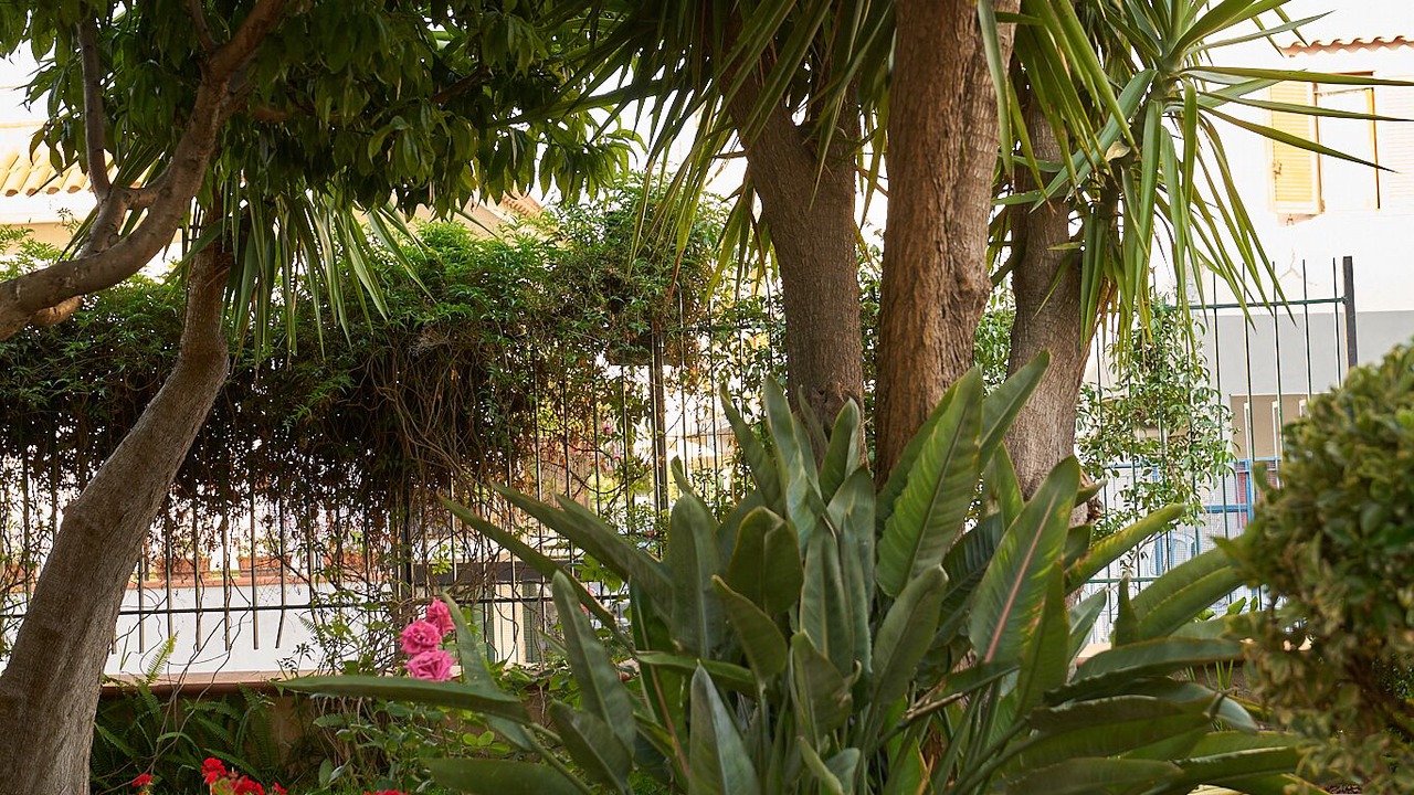 Photo of Outdoor in Trecase