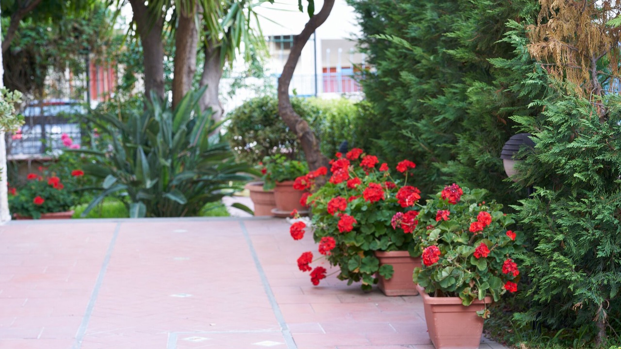Photo of Outdoor in Trecase