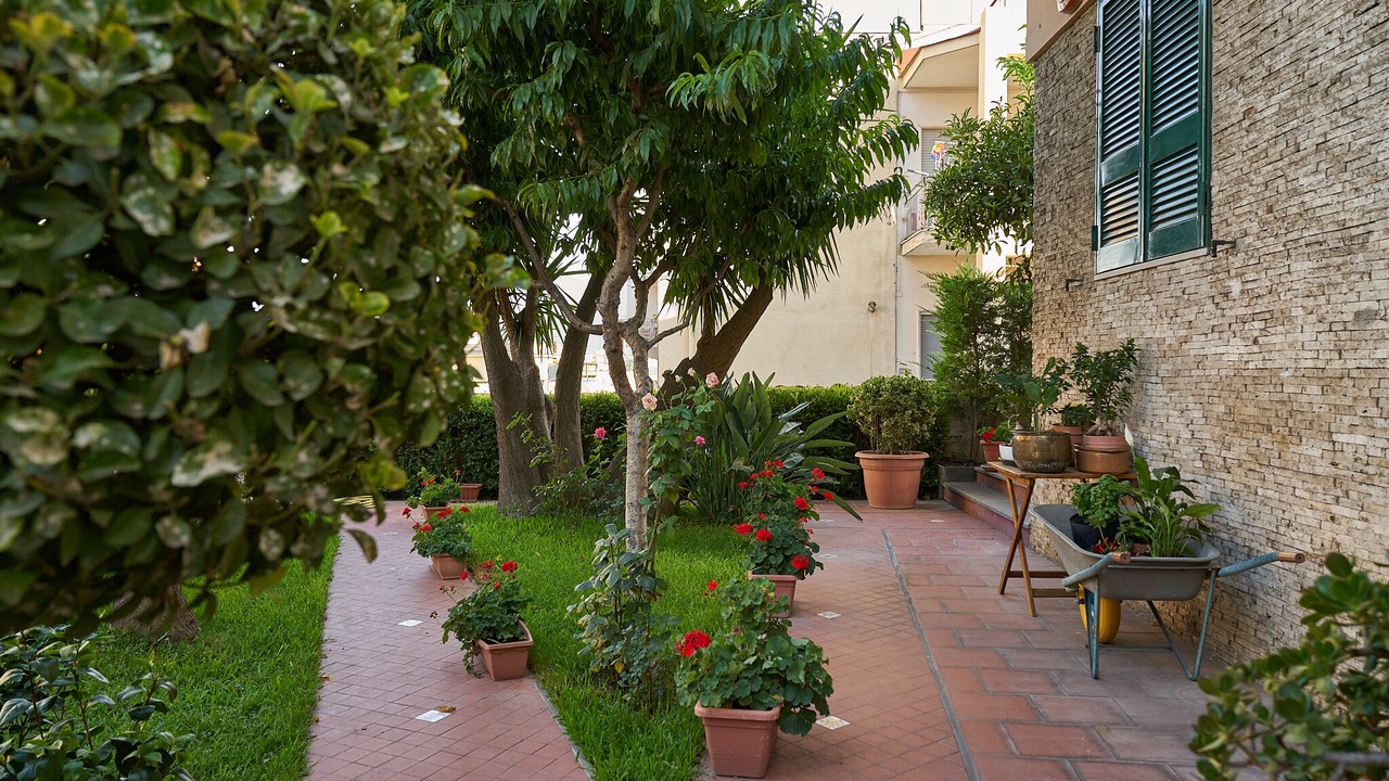 Photo of Outdoor in Trecase