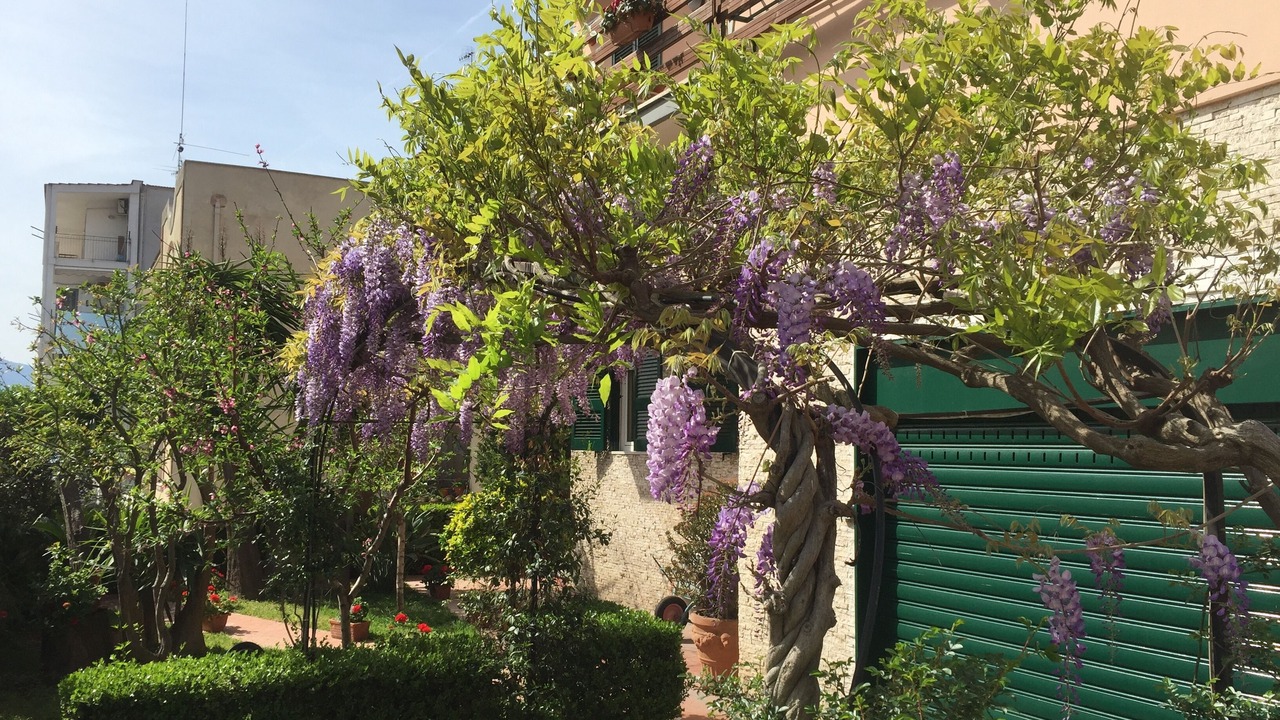 Photo of Outdoor in Trecase