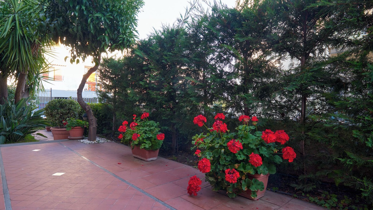 Photo of Outdoor in Trecase