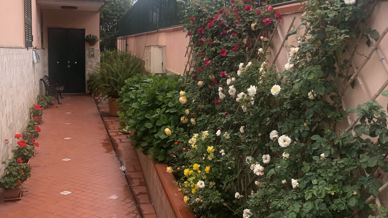 Photo of Outdoor in Trecase