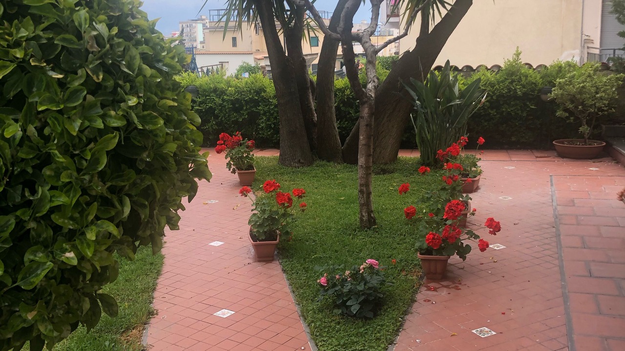 Photo of Outdoor in Trecase