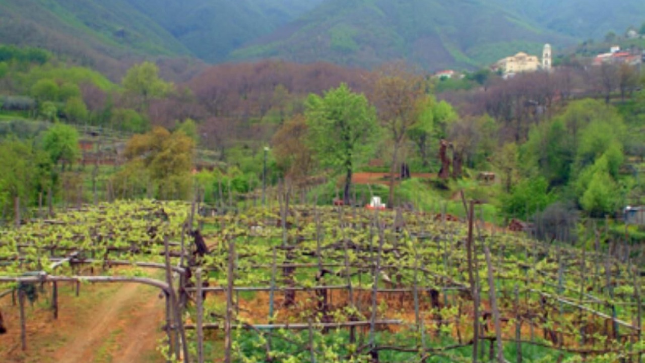 Photo of Others in Tramonti