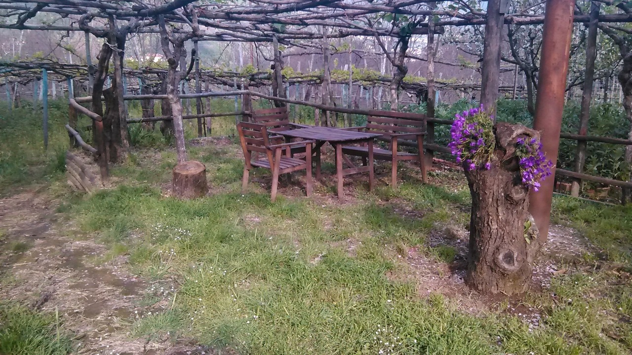 Photo of Outdoor in Tramonti