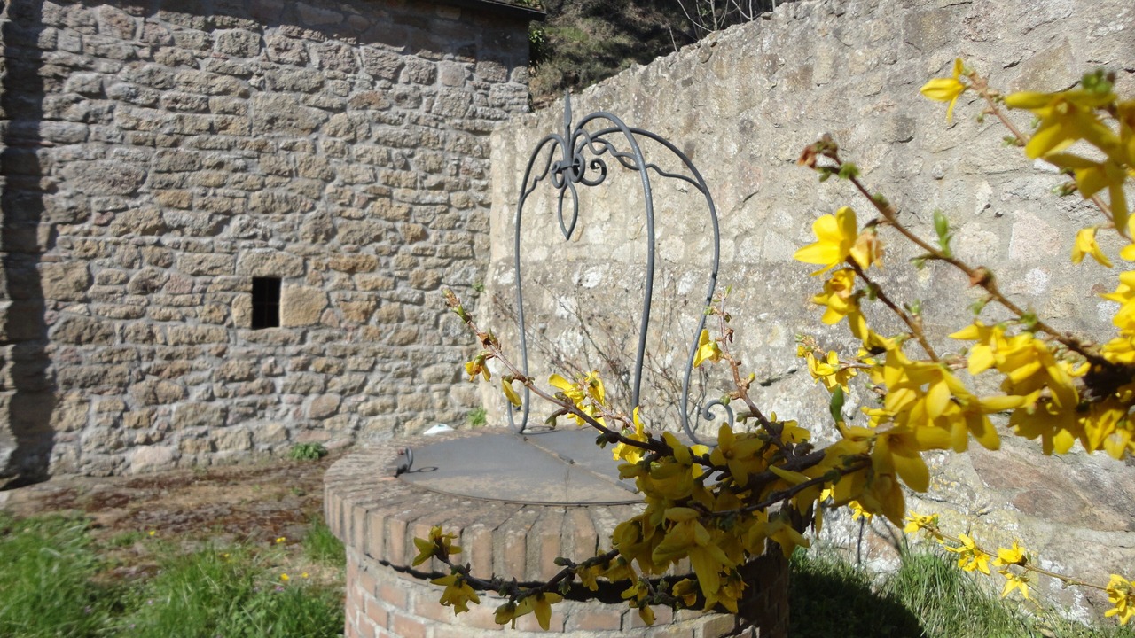 Photo of Outdoor in Roccastrada
