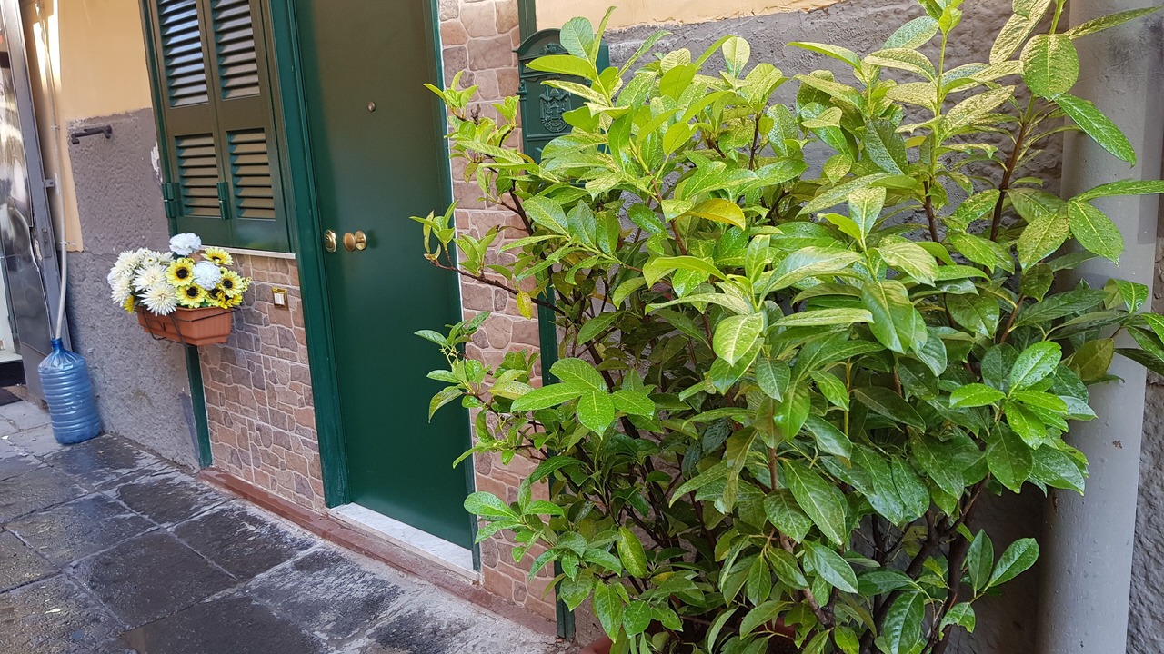 Photo of Outdoor in Naples City Centre