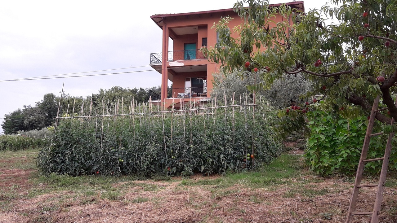 Photo of Outdoor in San Vito Chietino