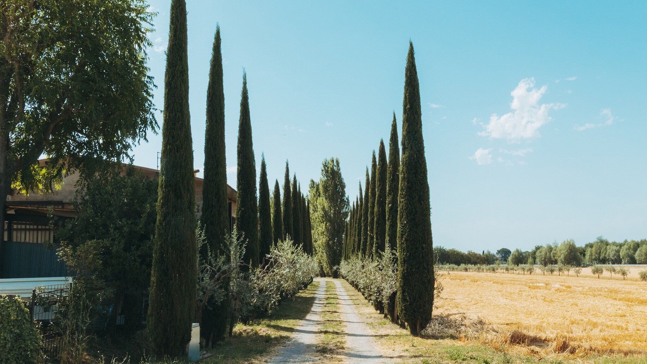 Photo of Outdoor in Camucia