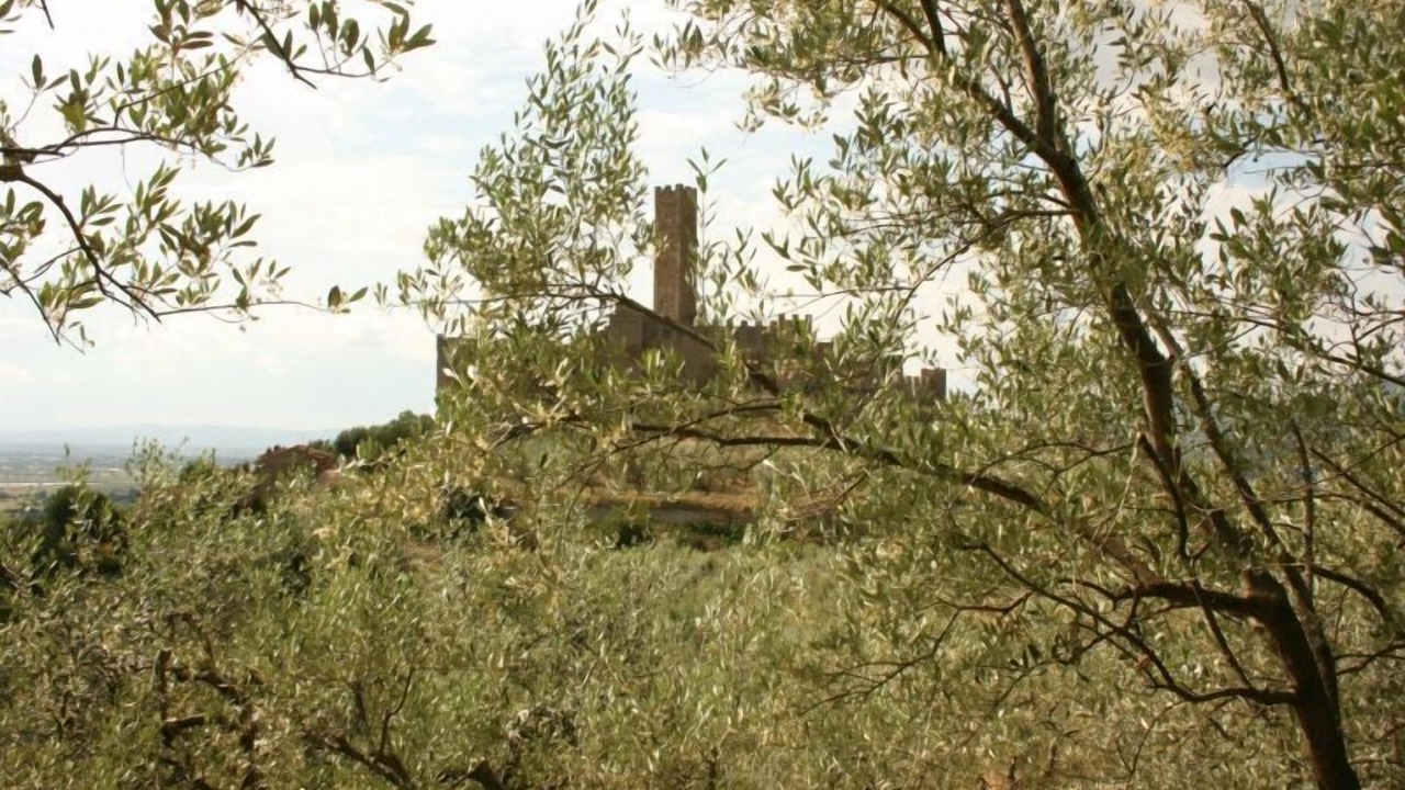 Photo of Outdoor in Montecchio