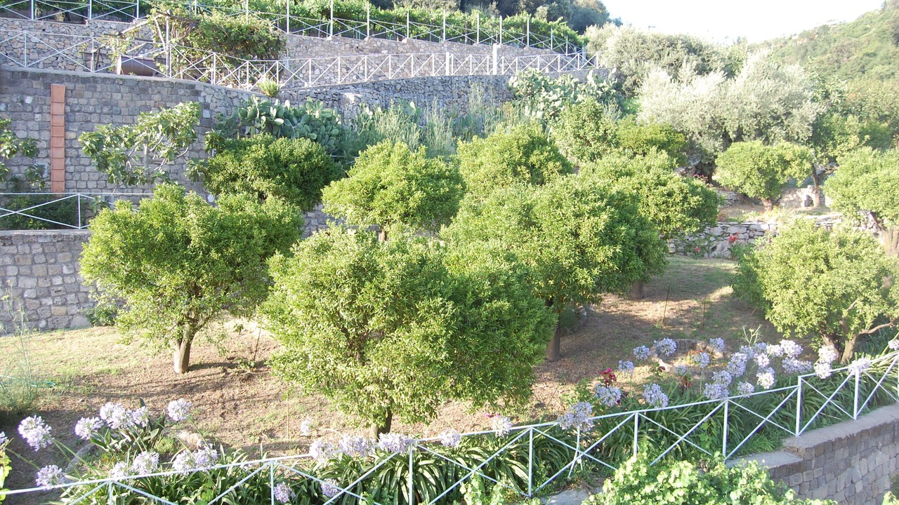 Photo of Outdoor in Casola di Napoli