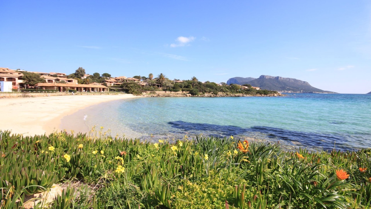 Photo of Others in Baia Caddinas