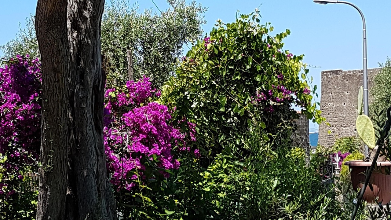 Photo of Outdoor in Vico Equense