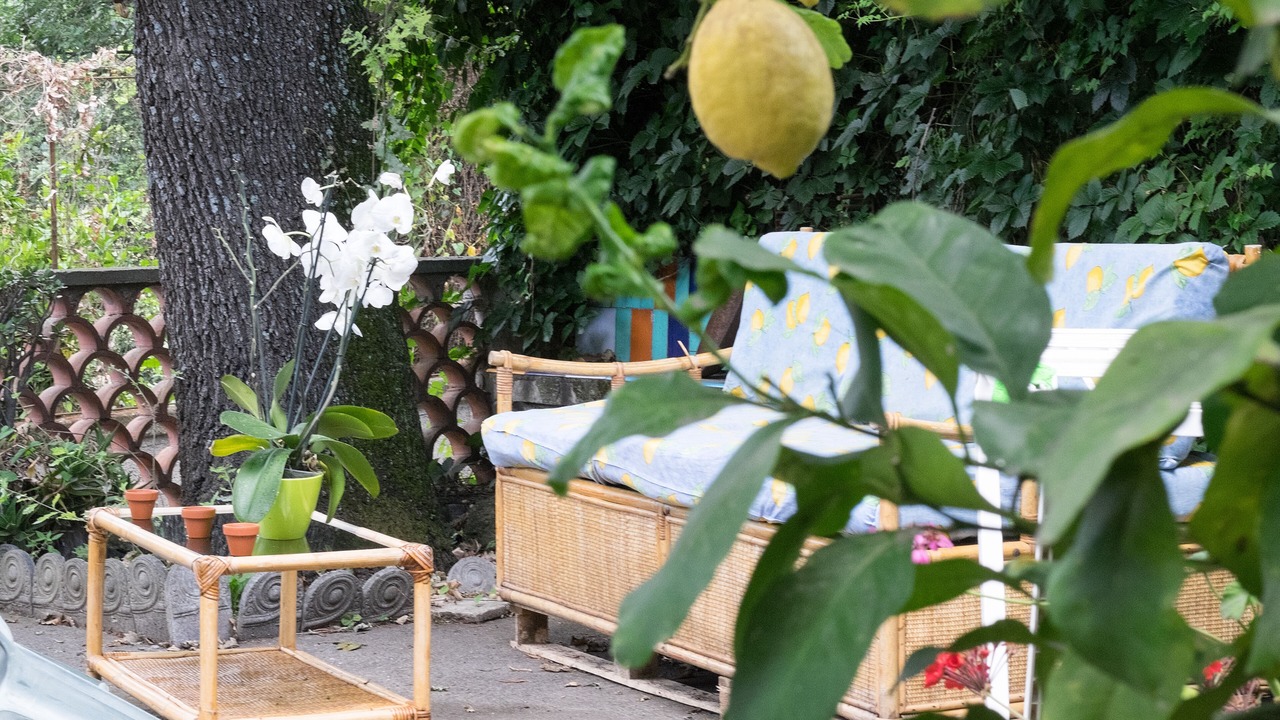 Photo of Patio Balcony in Vico Equense