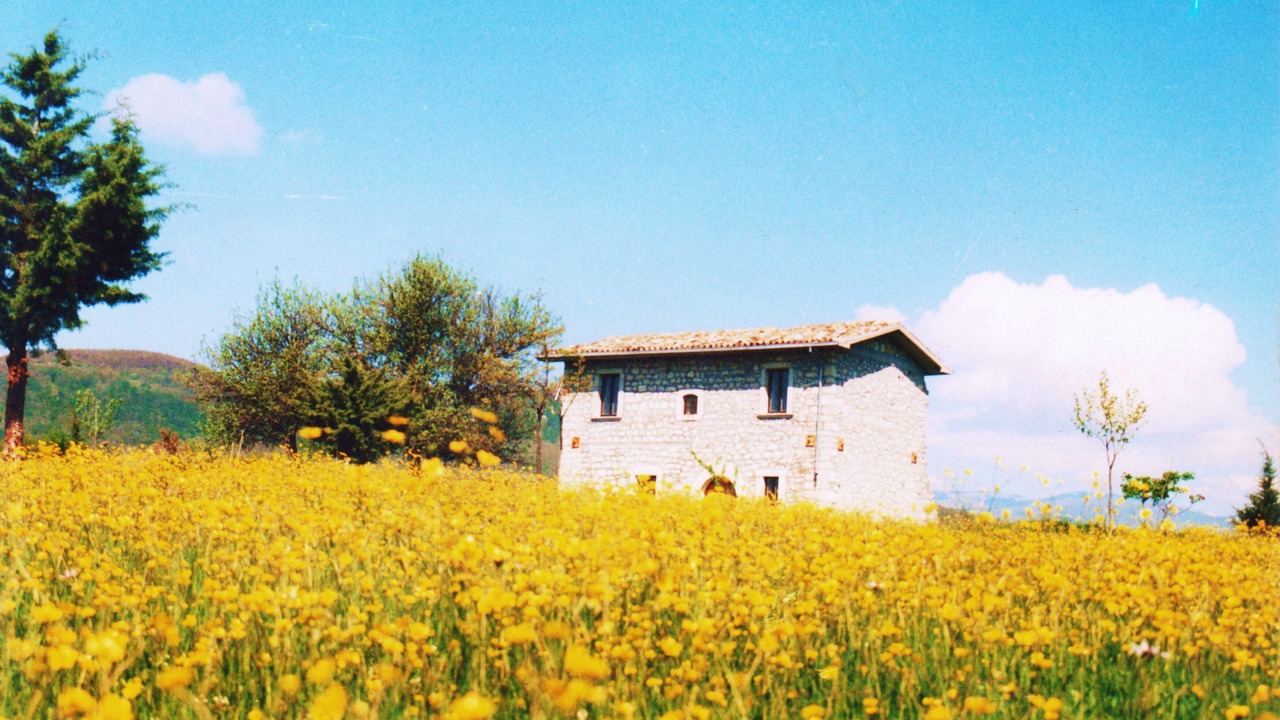 Photo of Outdoor in Forli del Sannio