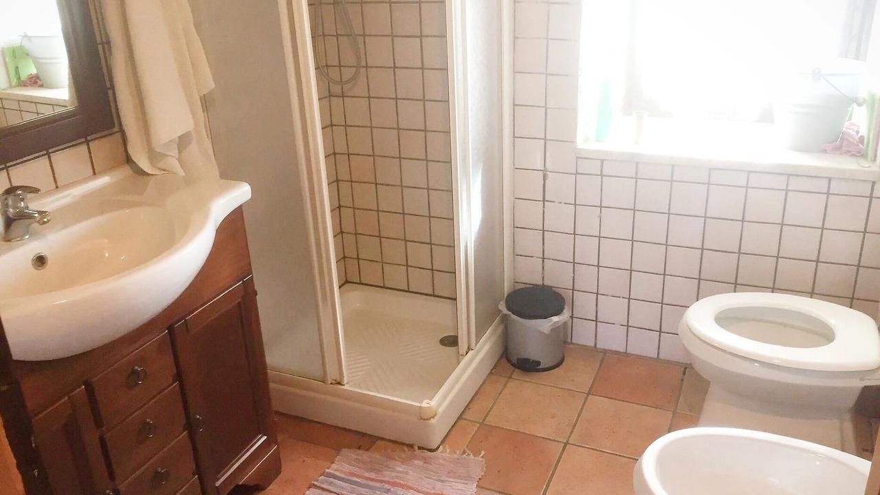 Photo of Bathroom in Forli del Sannio